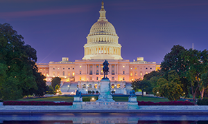 Capitol at Night